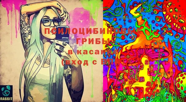 каннабис Абаза