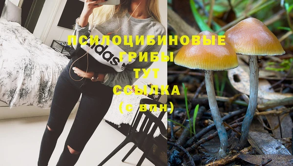 скорость mdpv Осинники