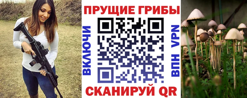 даркнет наркотические препараты  Дятьково  Галлюциногенные грибы MAGIC MUSHROOMS  наркотики 
