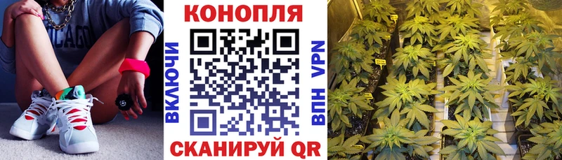 Бошки марихуана семена МЕГА онион Дятьково цена наркотик